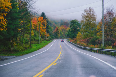 Empty road in forest