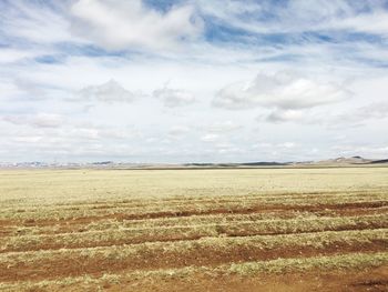 Scenic view of field against sky