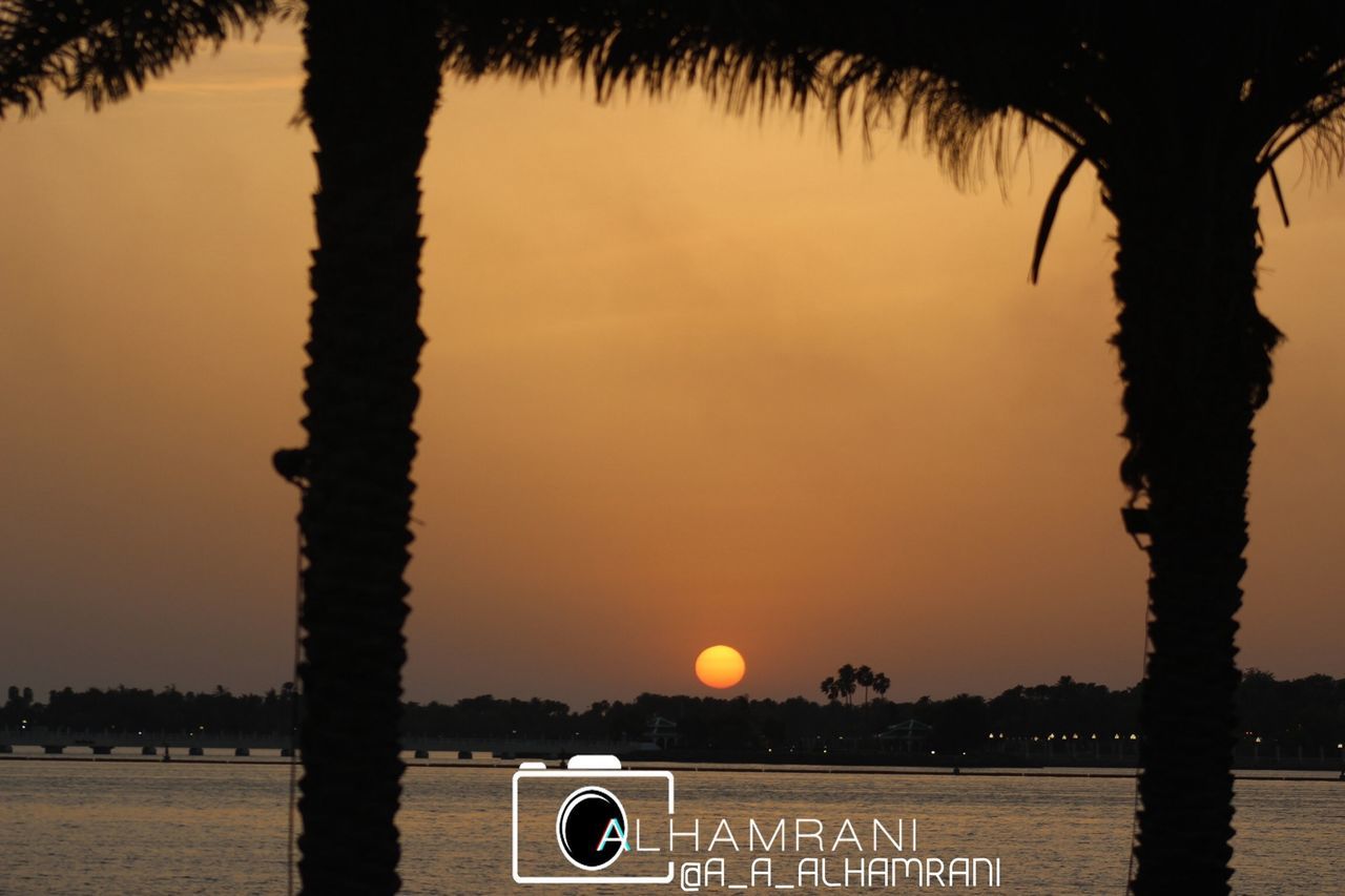 sunset, water, silhouette, tree, tranquility, tranquil scene, scenics, sky, orange color, sea, palm tree, beauty in nature, nature, reflection, idyllic, lake, beach, sun, tree trunk, river