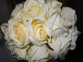 Close-up of white rose