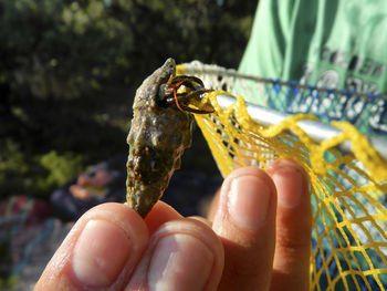 Close-up of cropped hand