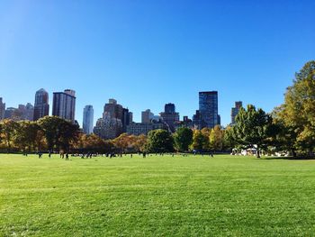 View of park in city