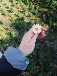 Close-up of hand holding red flower