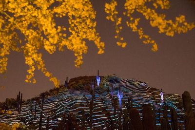 Low angle view of illuminated building against sky at night