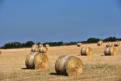 Hay bales on summer arable field