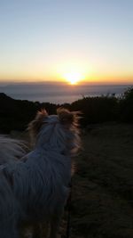 Scenic view of sunset over sea