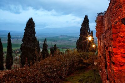 Panoramic view of sea and trees against sky