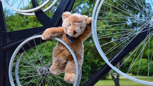 Teddy bear on a bicycle 