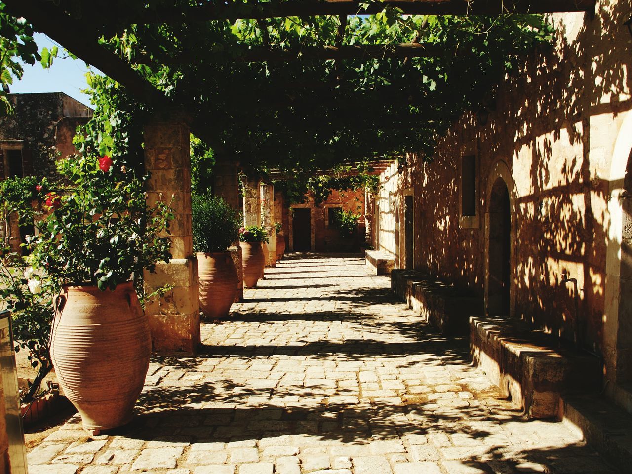 the way forward, tree, footpath, walkway, built structure, sunlight, growth, steps, plant, architecture, pathway, shadow, cobblestone, narrow, in a row, empty, building exterior, day, diminishing perspective, paving stone