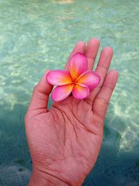 Cropped hand of woman holding flower on the pool in bali island