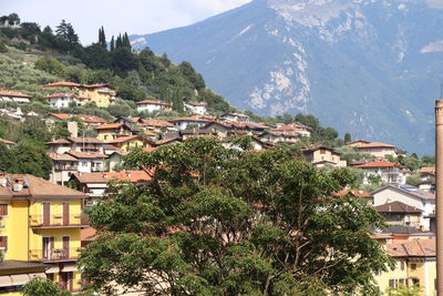 Trees and townscape against sky