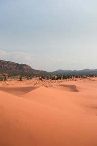 Scenic view of desert against sky