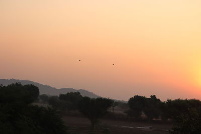 Silhouette of birds flying against orange sky