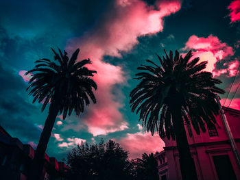 Low angle view of silhouette palm tree against sky at night