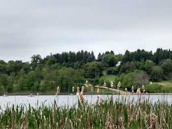 Scenic view of river against sky