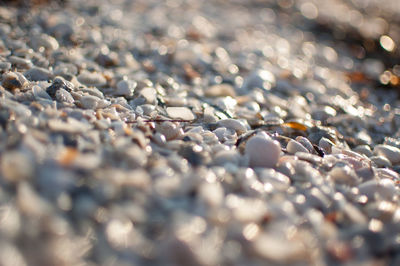 Close-up of pebbles on beach