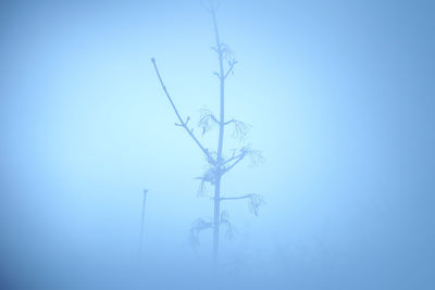 Low angle view of lighting equipment against blue background