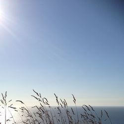 Scenic view of landscape against clear sky