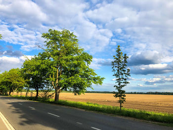 Trees on field by road against sky