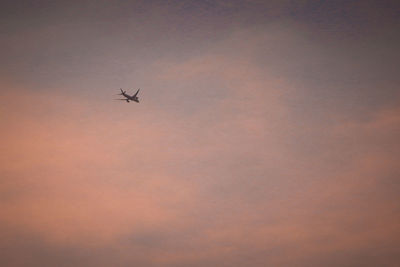 Low angle view of airplane flying in sky