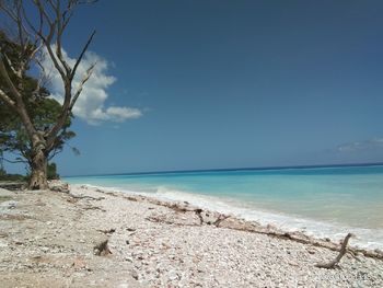 Scenic view of beach against sky