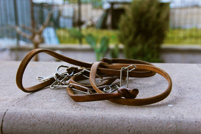 Closeup of leather leash with chain