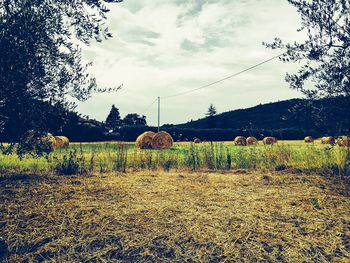 Scenic view of field against cloudy sky