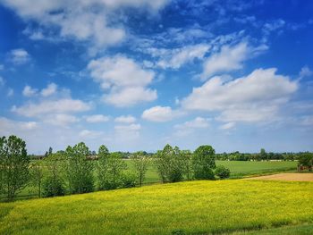 Scenic view of field against sky