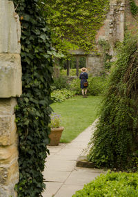 Rear view of man walking on footpath amidst trees and plants