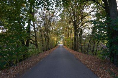 Empty road amidst trees in forest