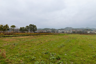 environment