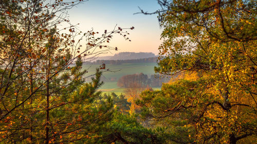 nature