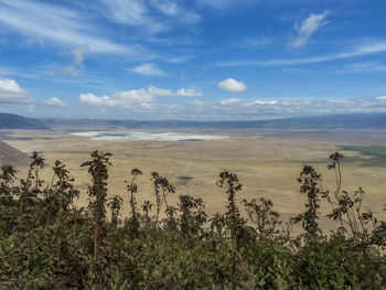 Scenic view of landscape against sky