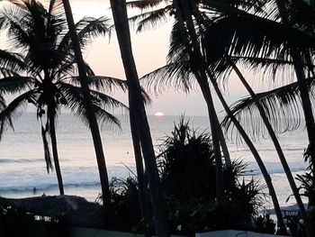 Silhouette palm trees at beach against sky