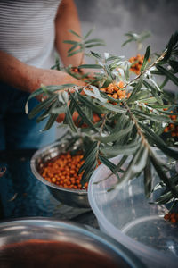 Midsection of woman holding potted plant
