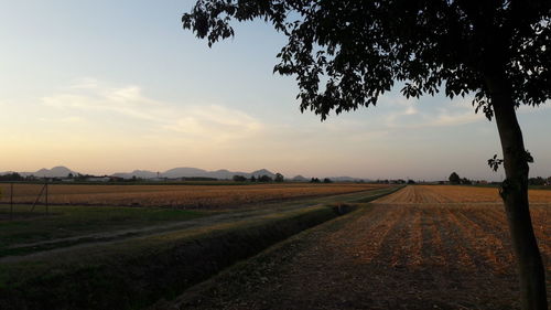 Agricultural field against sky during sunset