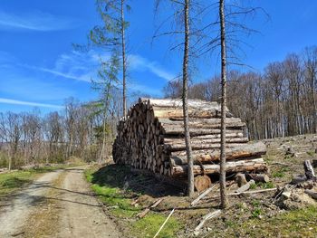 Stack of logs on field against sky