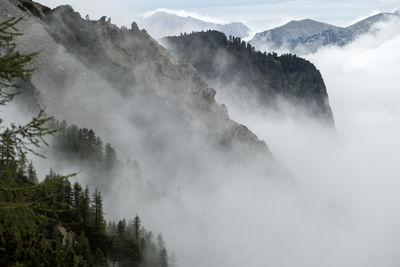 fog