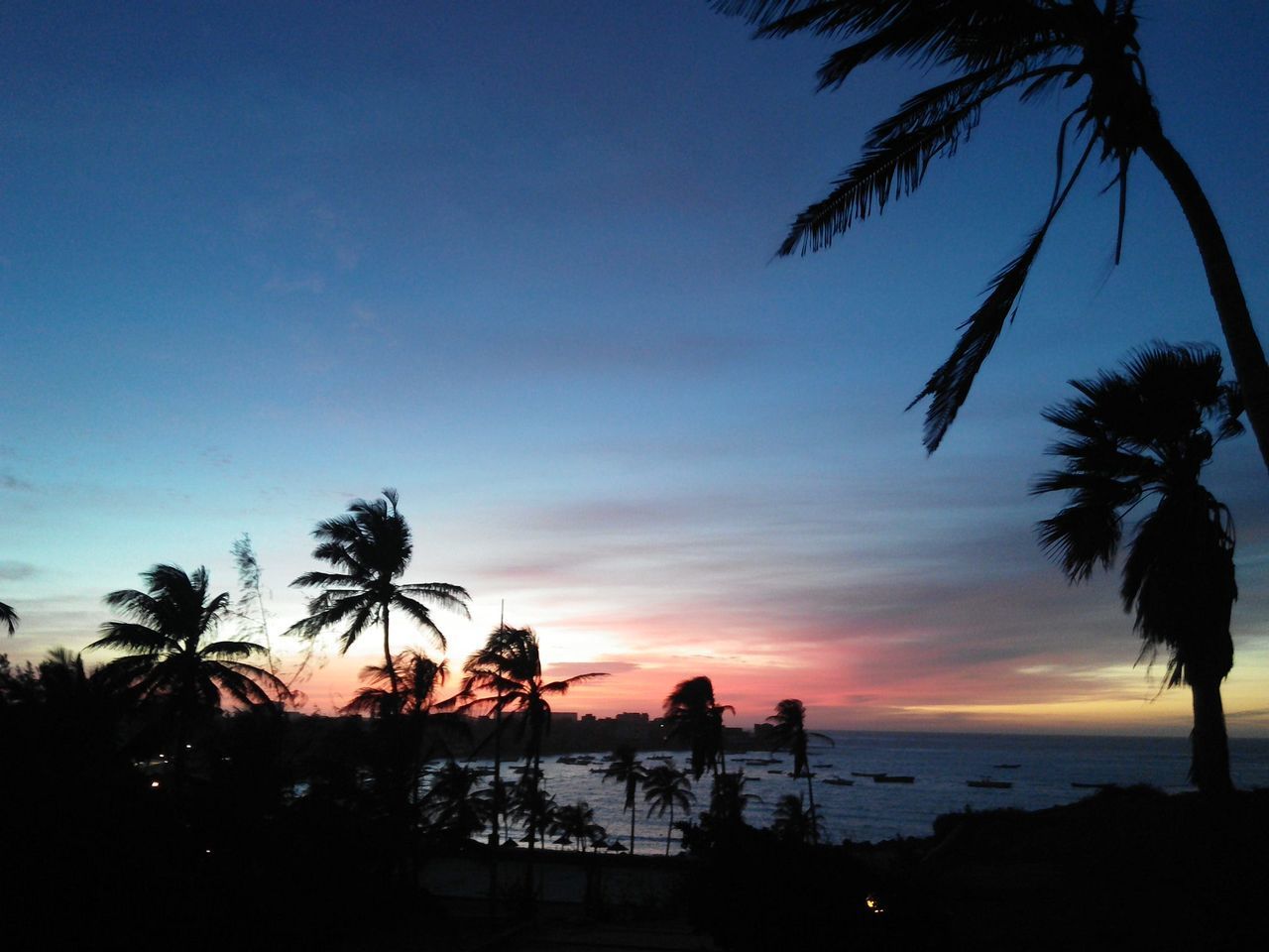 SILHOUETTE PALM TREES AGAINST SUNSET SKY