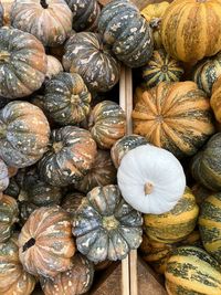 Full frame shot of pumpkins