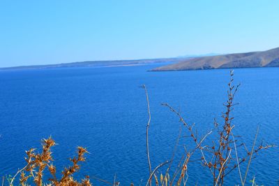 Scenic view of sea against clear sky