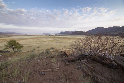 Scenic view of landscape against cloudy sky