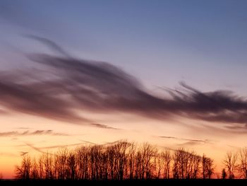 Silhouette bare trees on field against sky during sunset