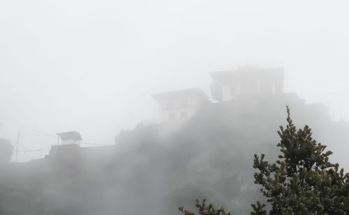 Trees against sky during foggy weather