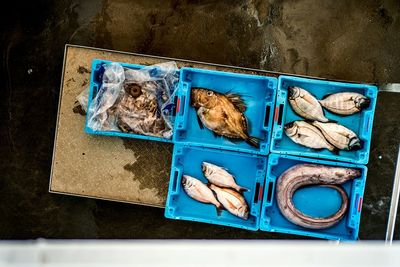 High angle view of fish for sale