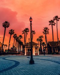 Palm trees against sky at sunset