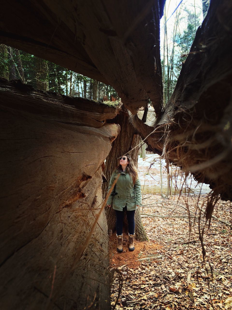 tree, built structure, architecture, lifestyles, sunlight, leisure activity, nature, day, full length, shadow, person, tree trunk, outdoors, standing, the way forward, bare tree, dry, tranquility