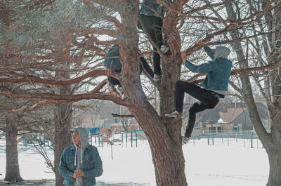 People on bare tree during winter