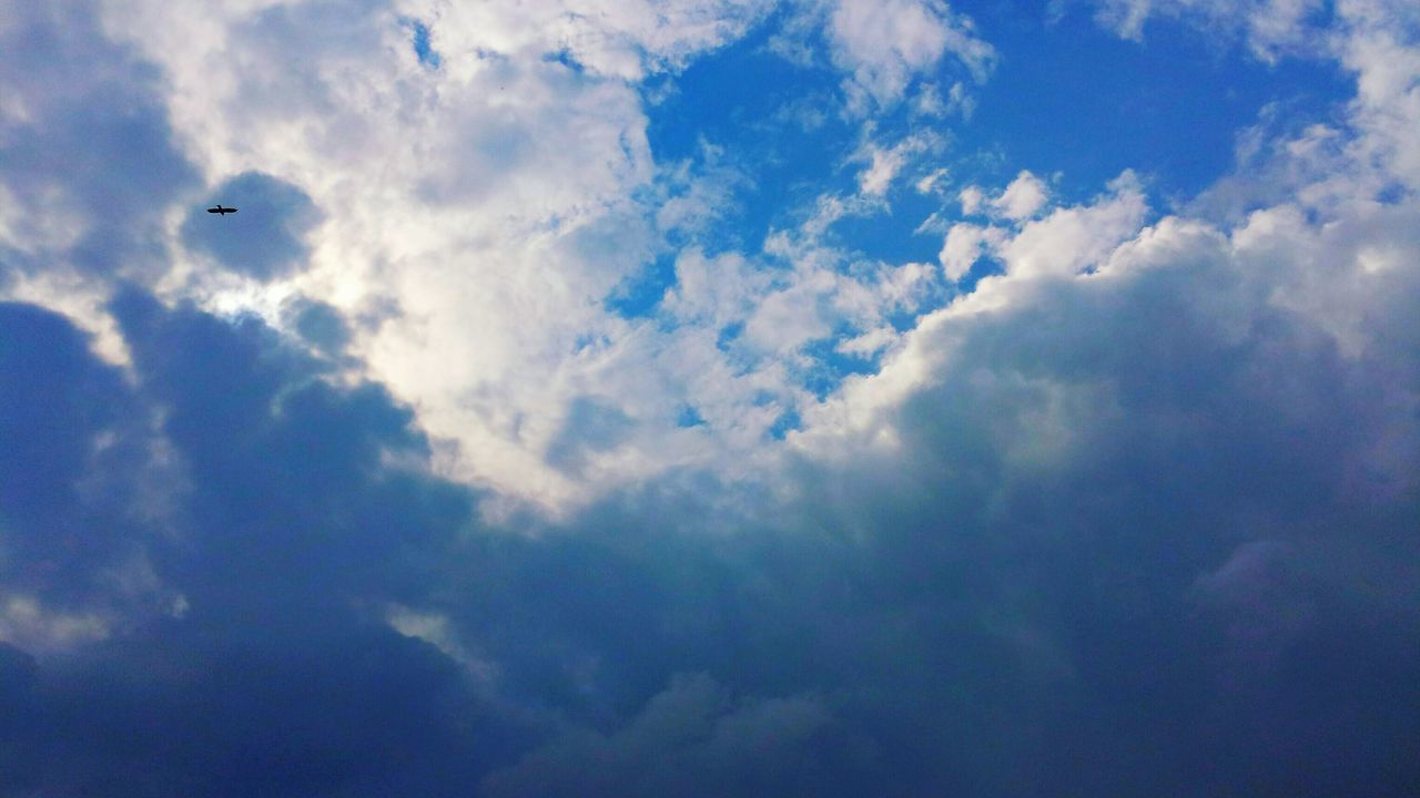 flying, scenics, low angle view, blue, tranquility, sky, beauty in nature, tranquil scene, cloud - sky, bird, mid-air, nature, day, cloudscape, outdoors, majestic, atmospheric mood, cumulus cloud, cloudy, fluffy, atmosphere, no people, moody sky, dramatic sky