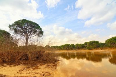 Scenic view of lake against sky